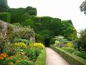 Wales (242)